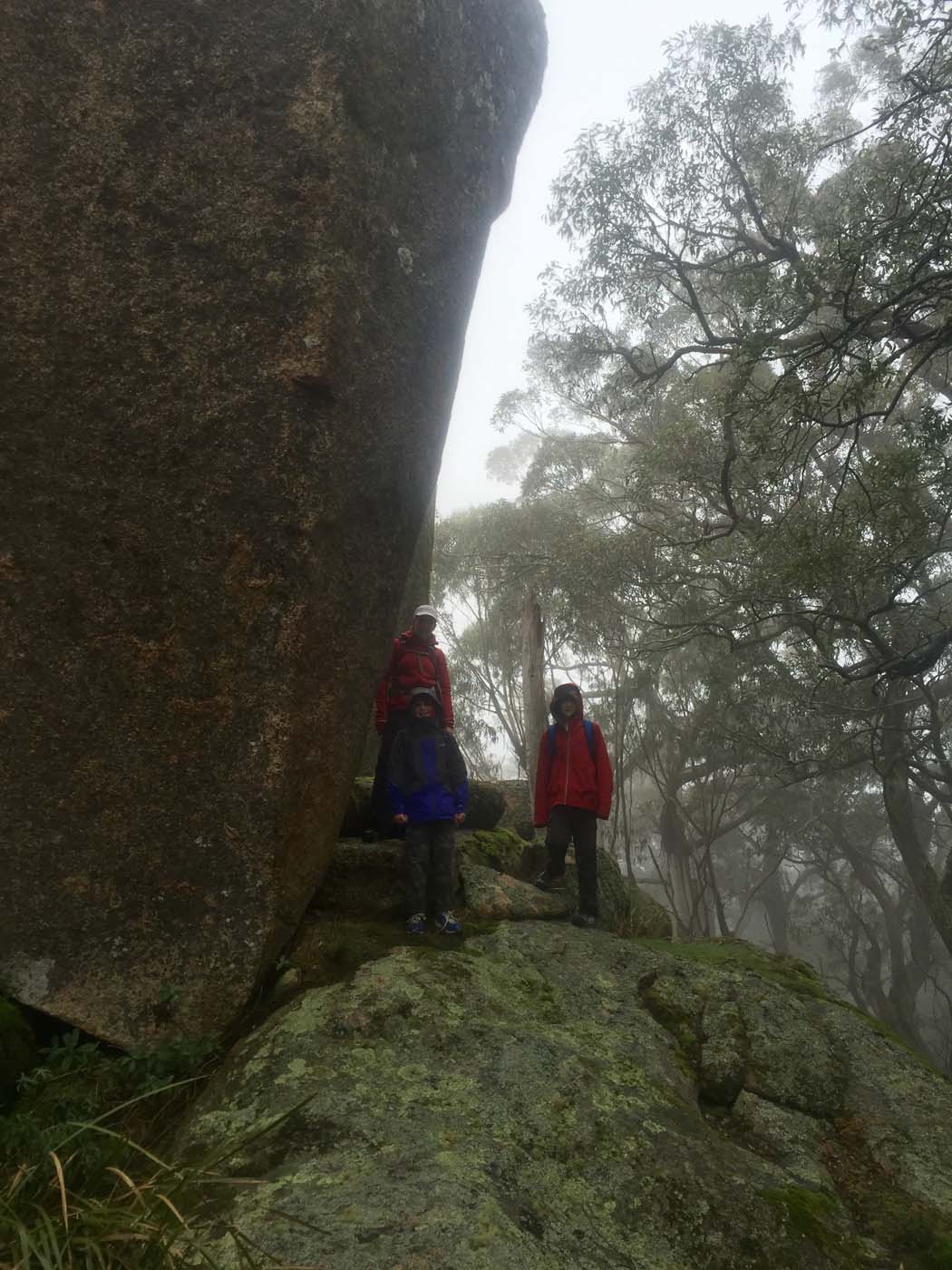 Mount gorrin hike (19)
