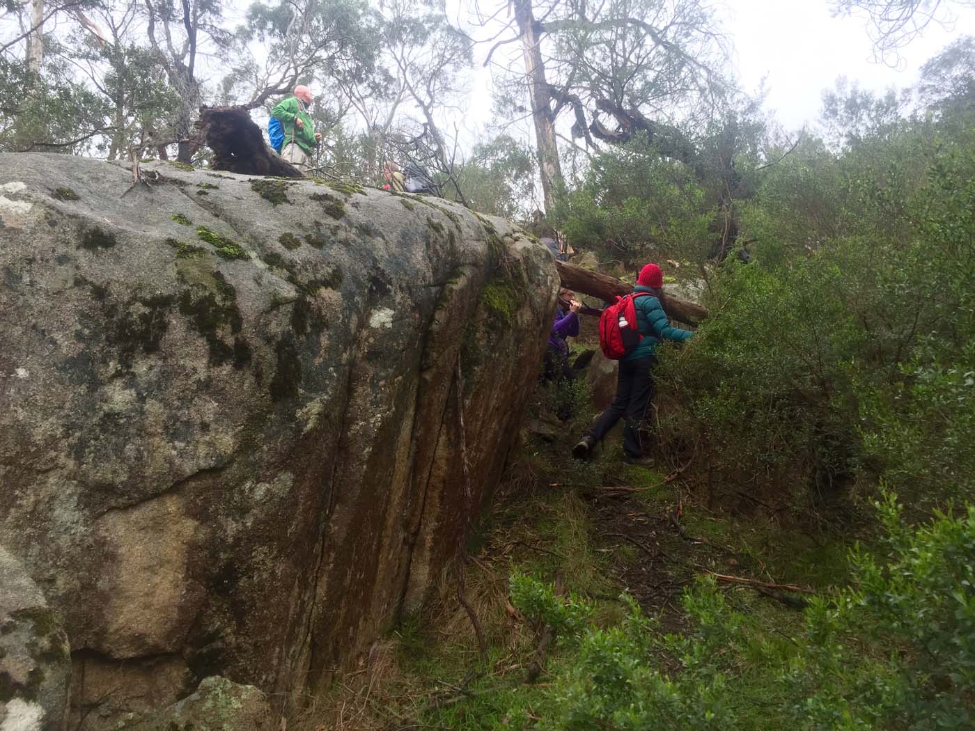Mount gorrin hike (2)