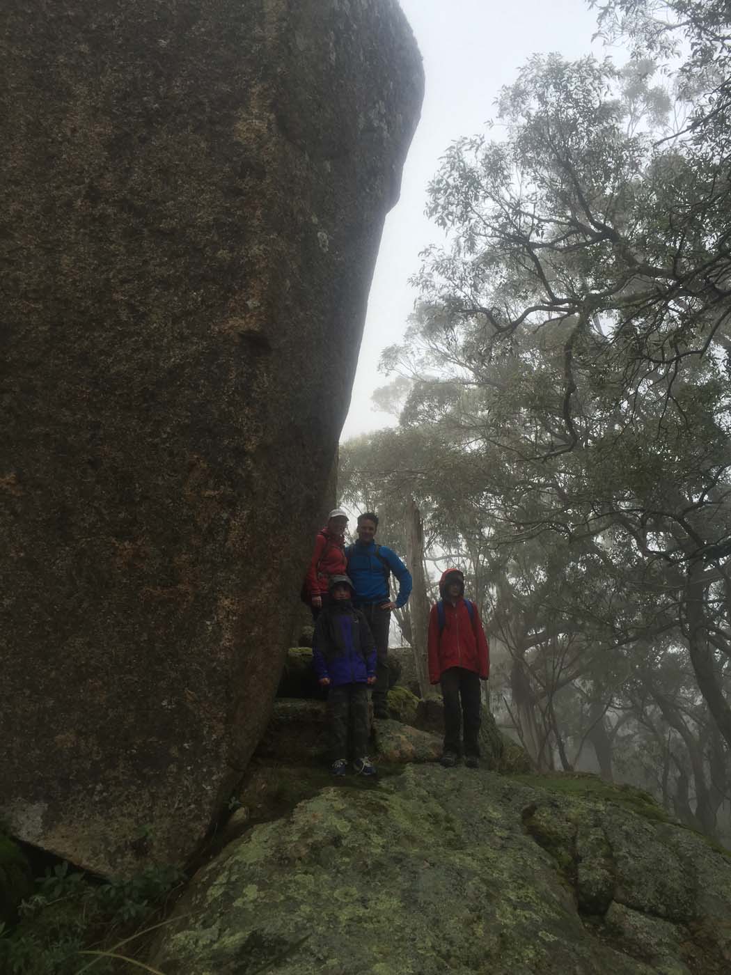 Mount gorrin hike (21)