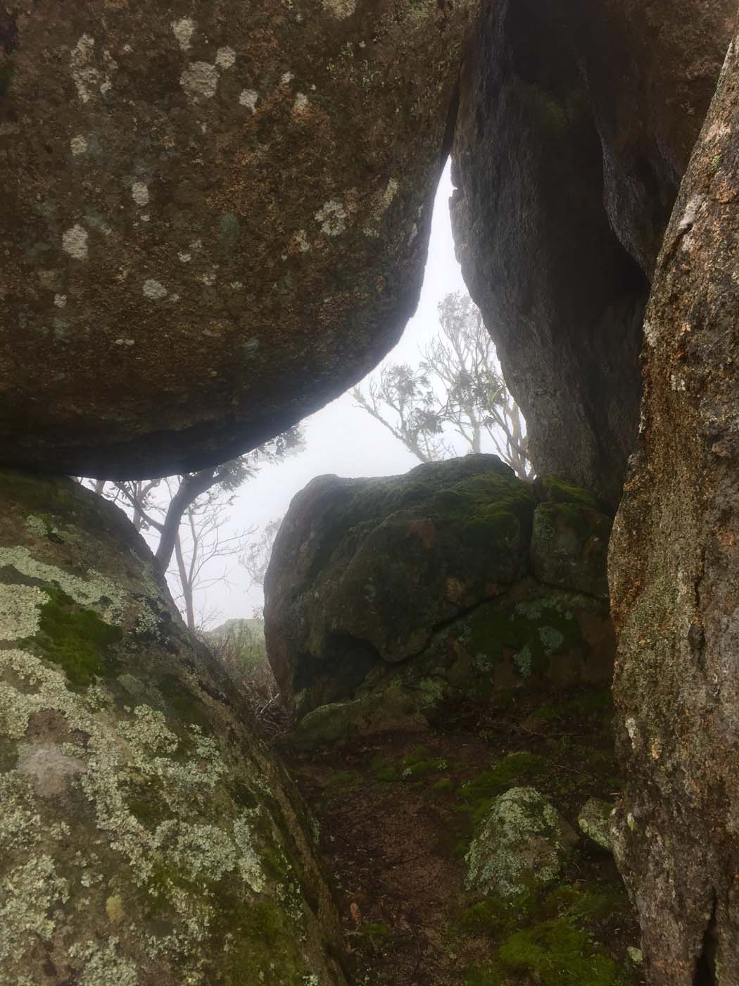Mount gorrin hike (26)