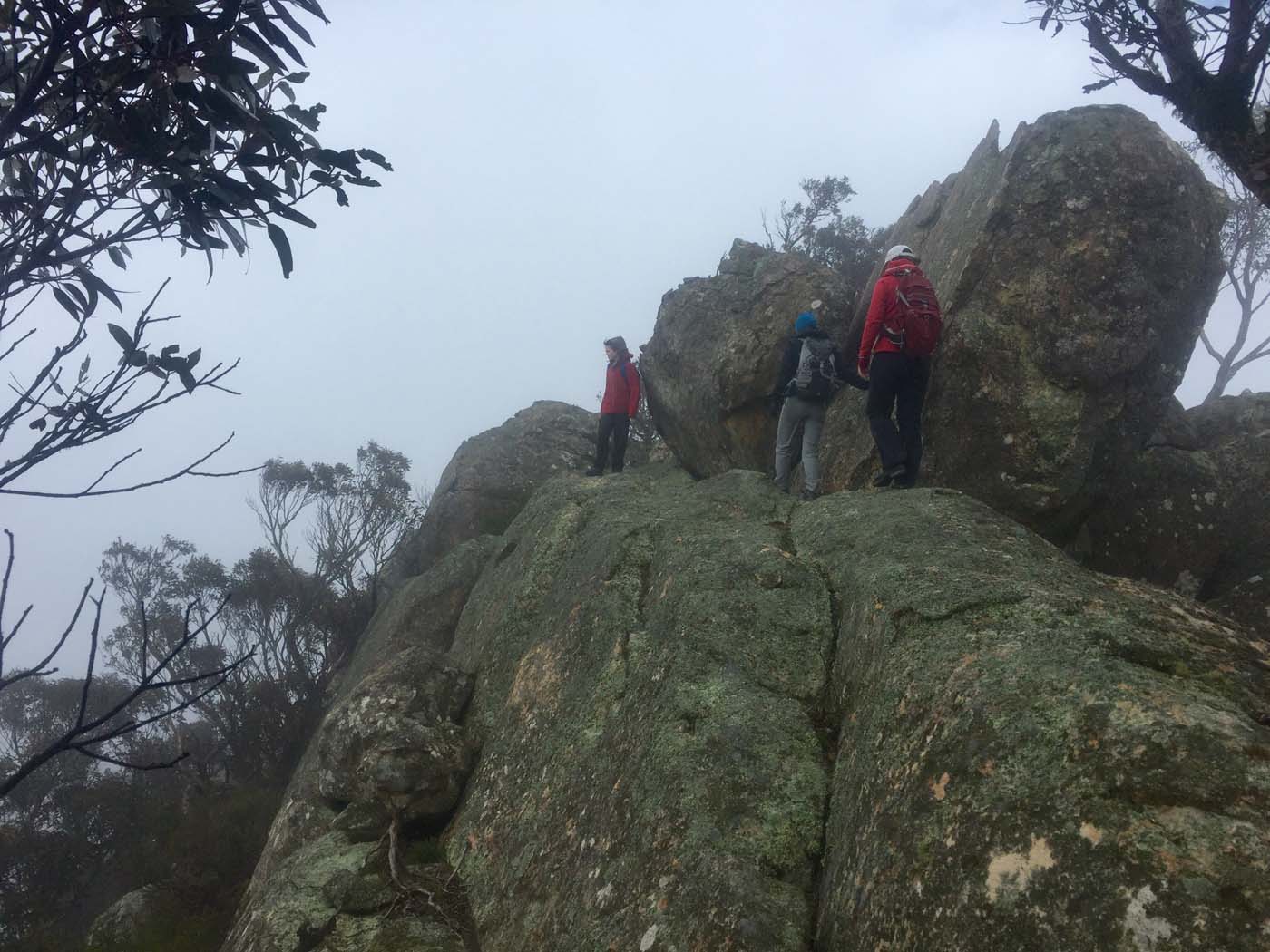 Mount gorrin hike (27)