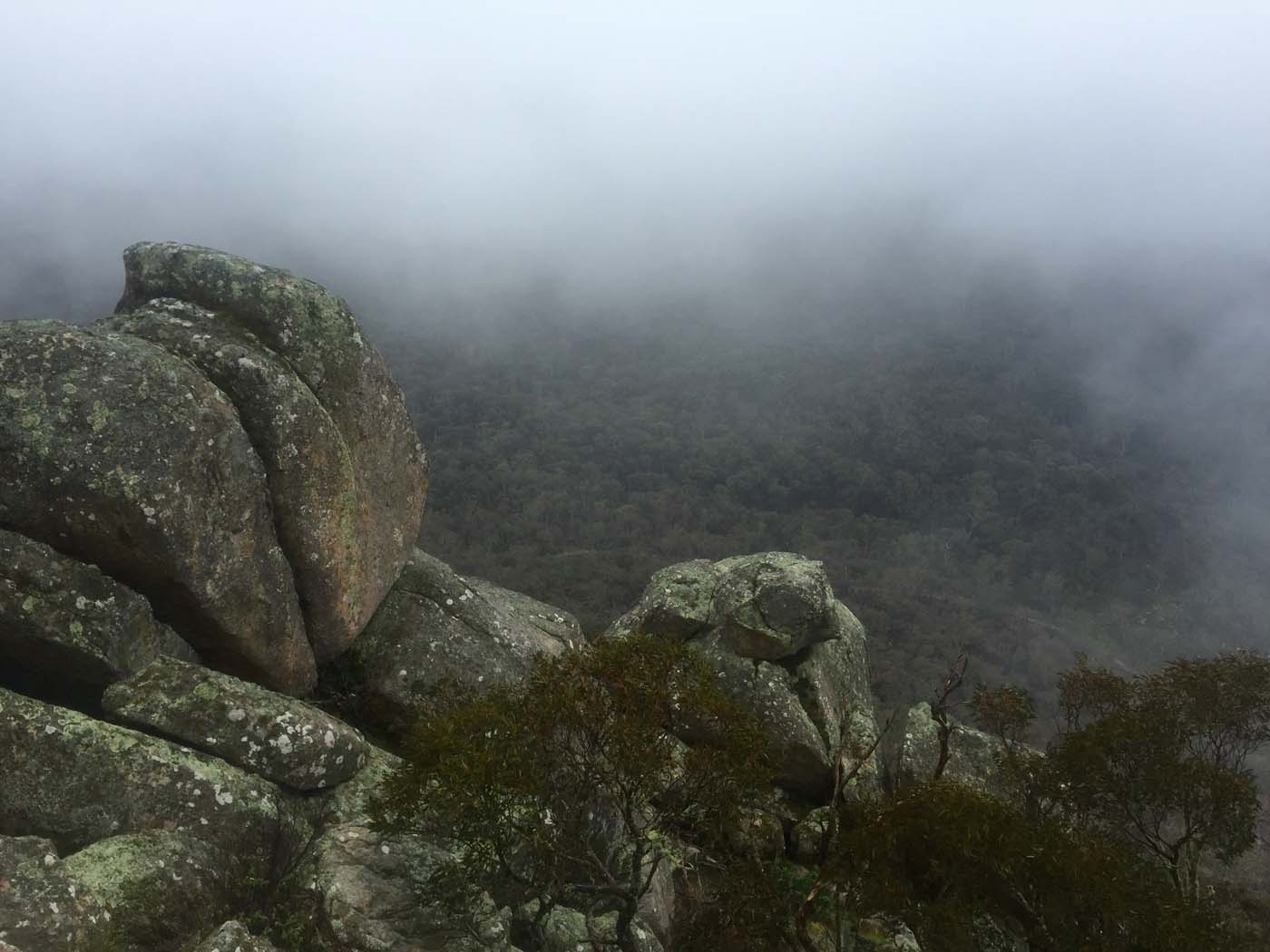 Mount gorrin hike (28)