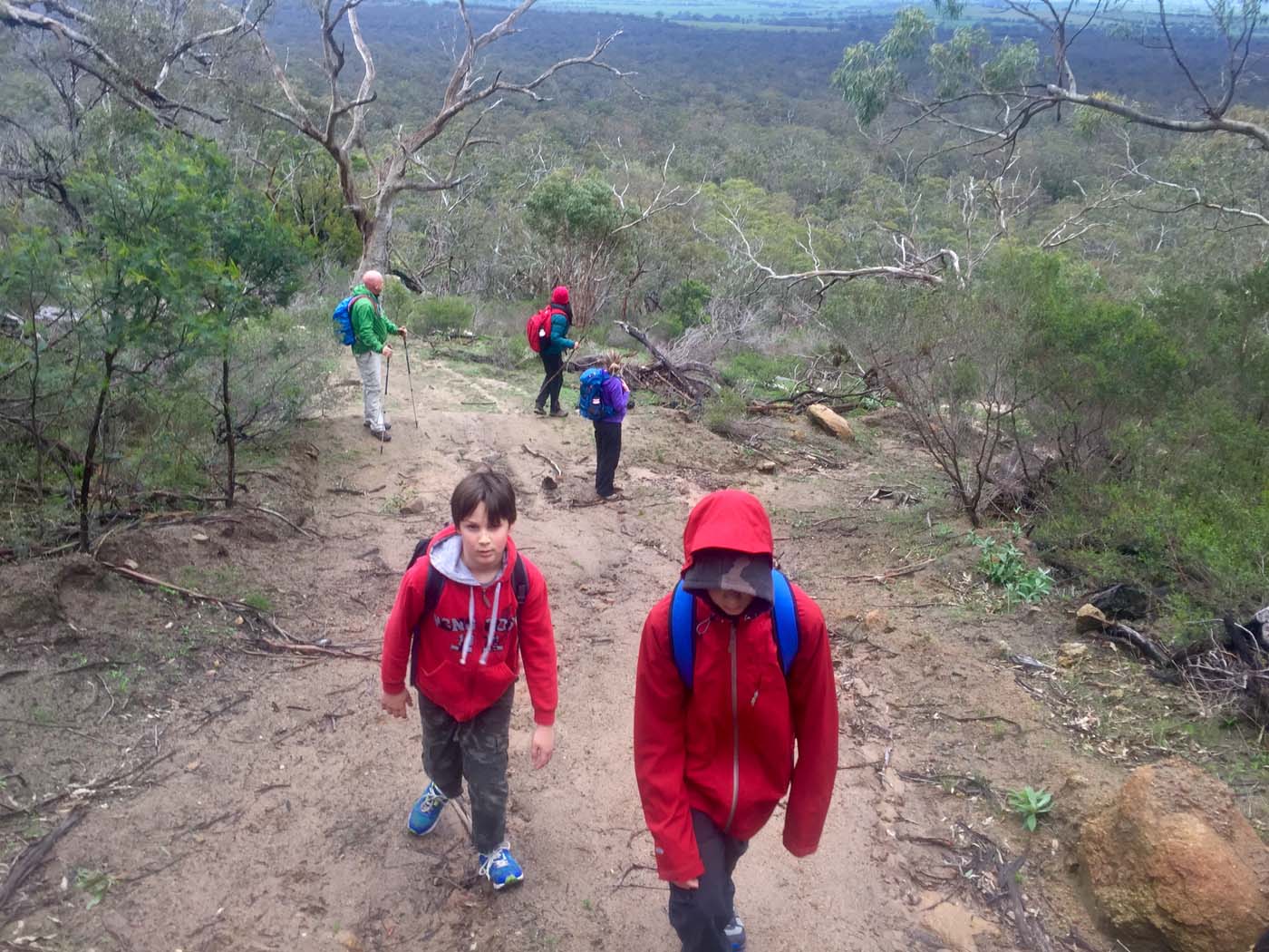 Mount gorrin hike (3)