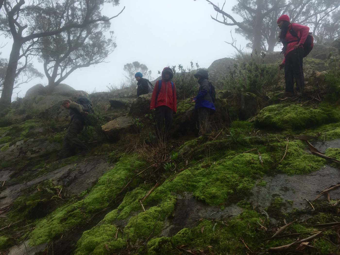 Mount gorrin hike (30)