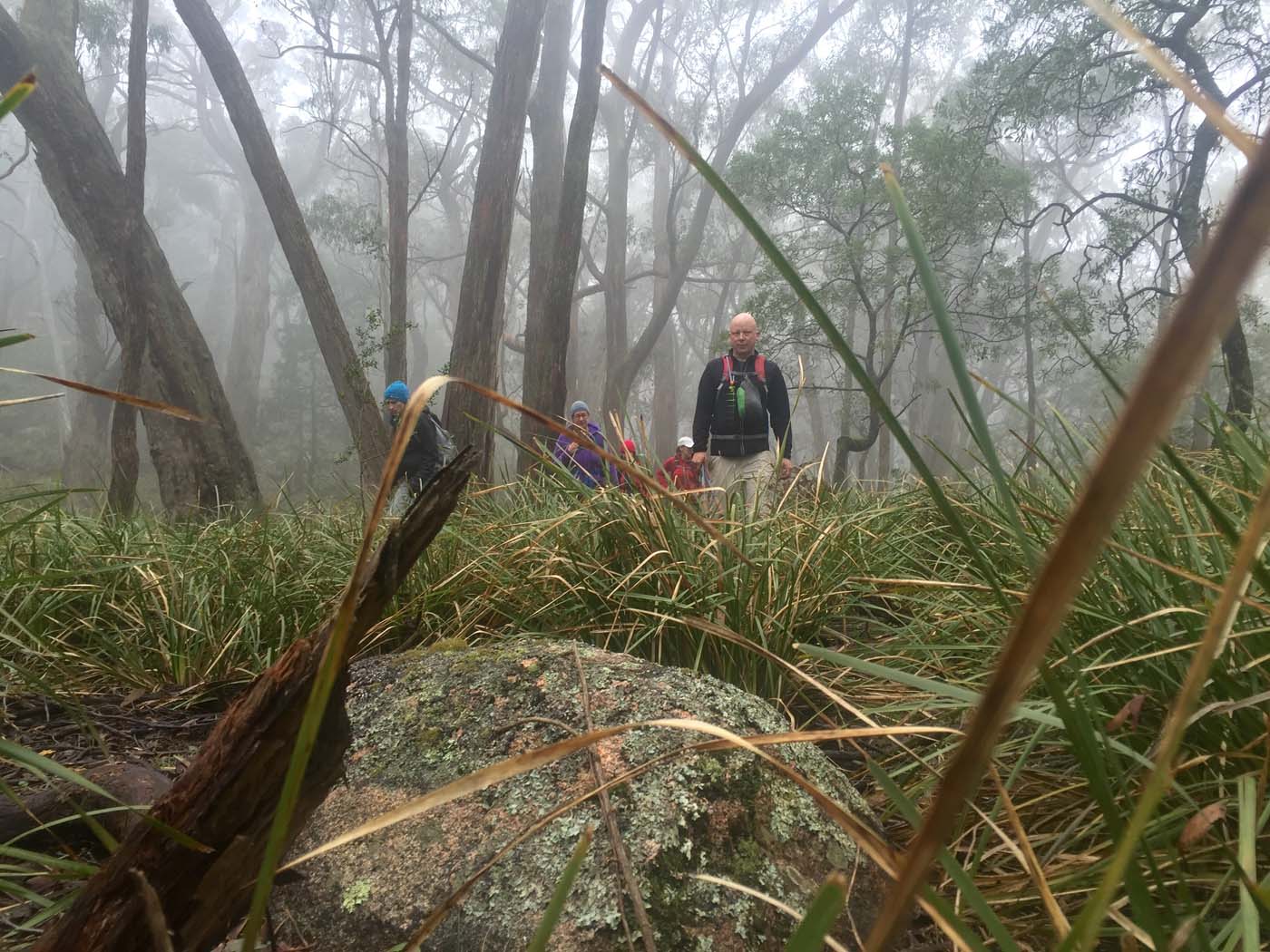 Mount gorrin hike (32)