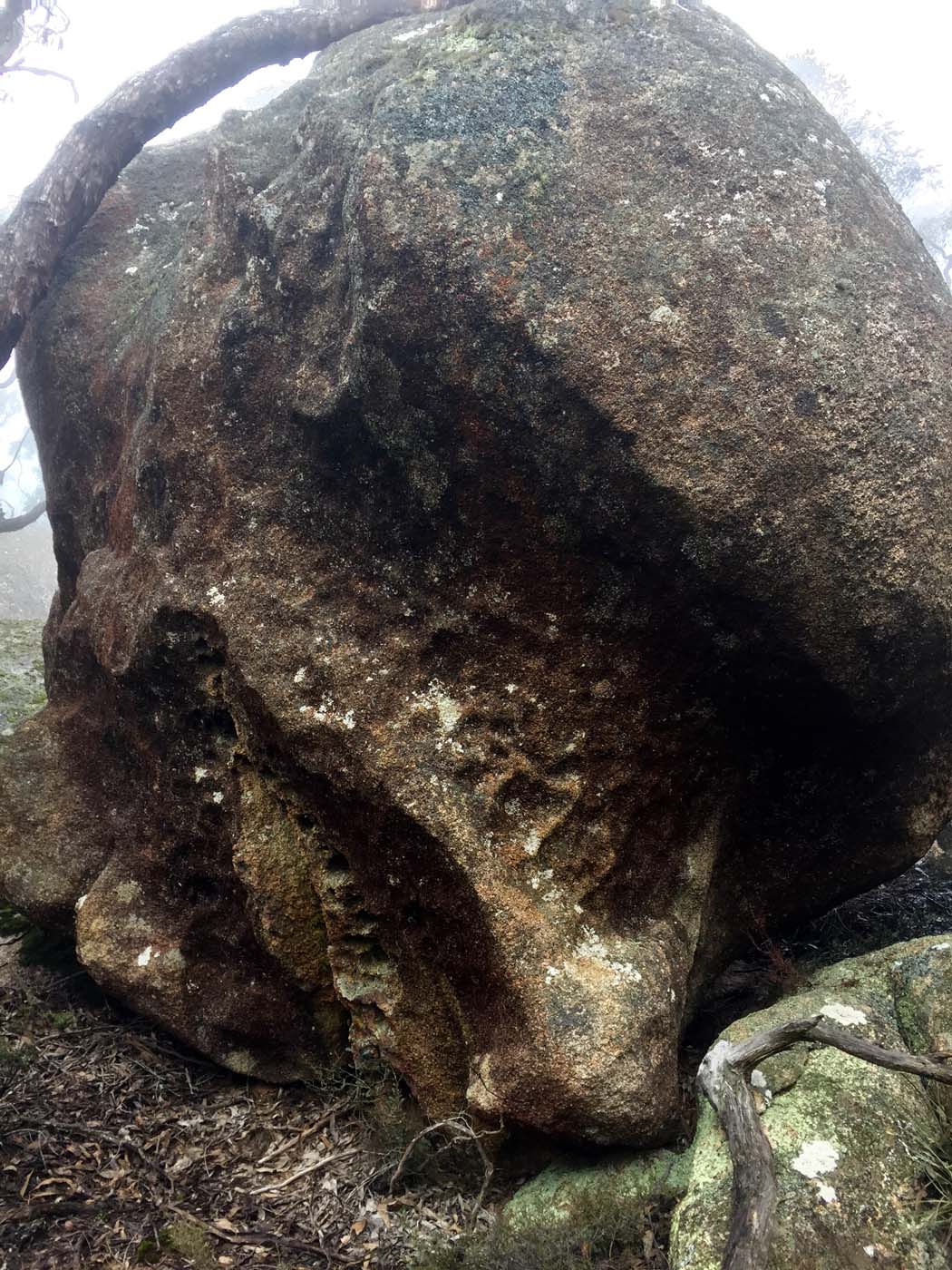 Mount gorrin hike (33)