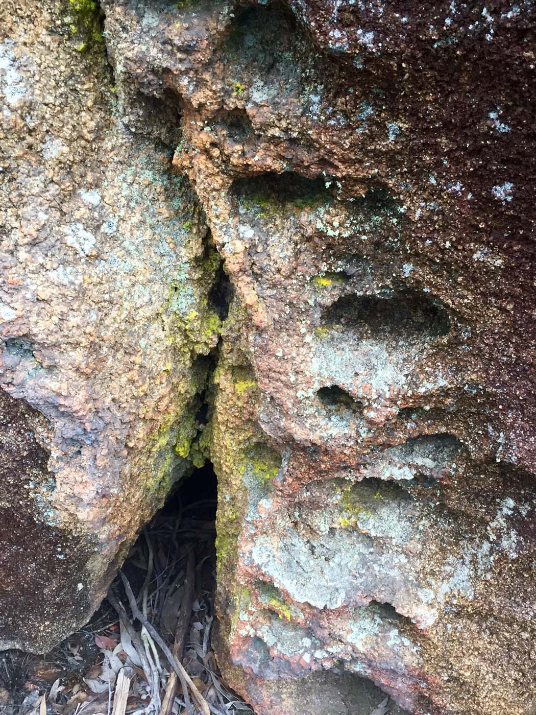 Mount gorrin hike (34)