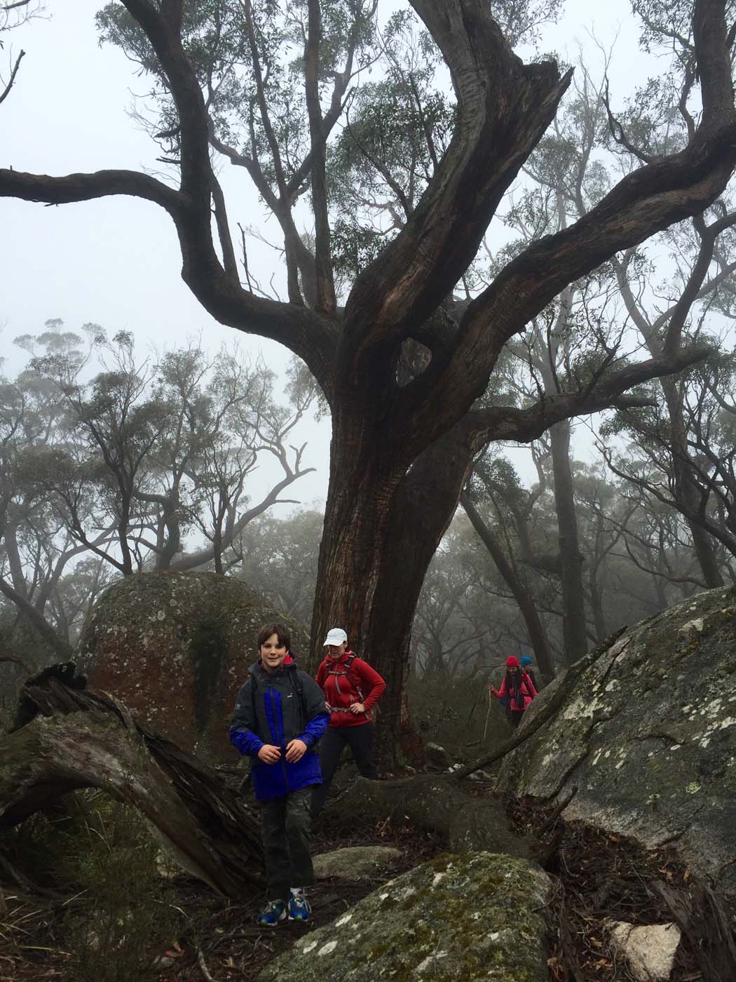 Mount gorrin hike (37)