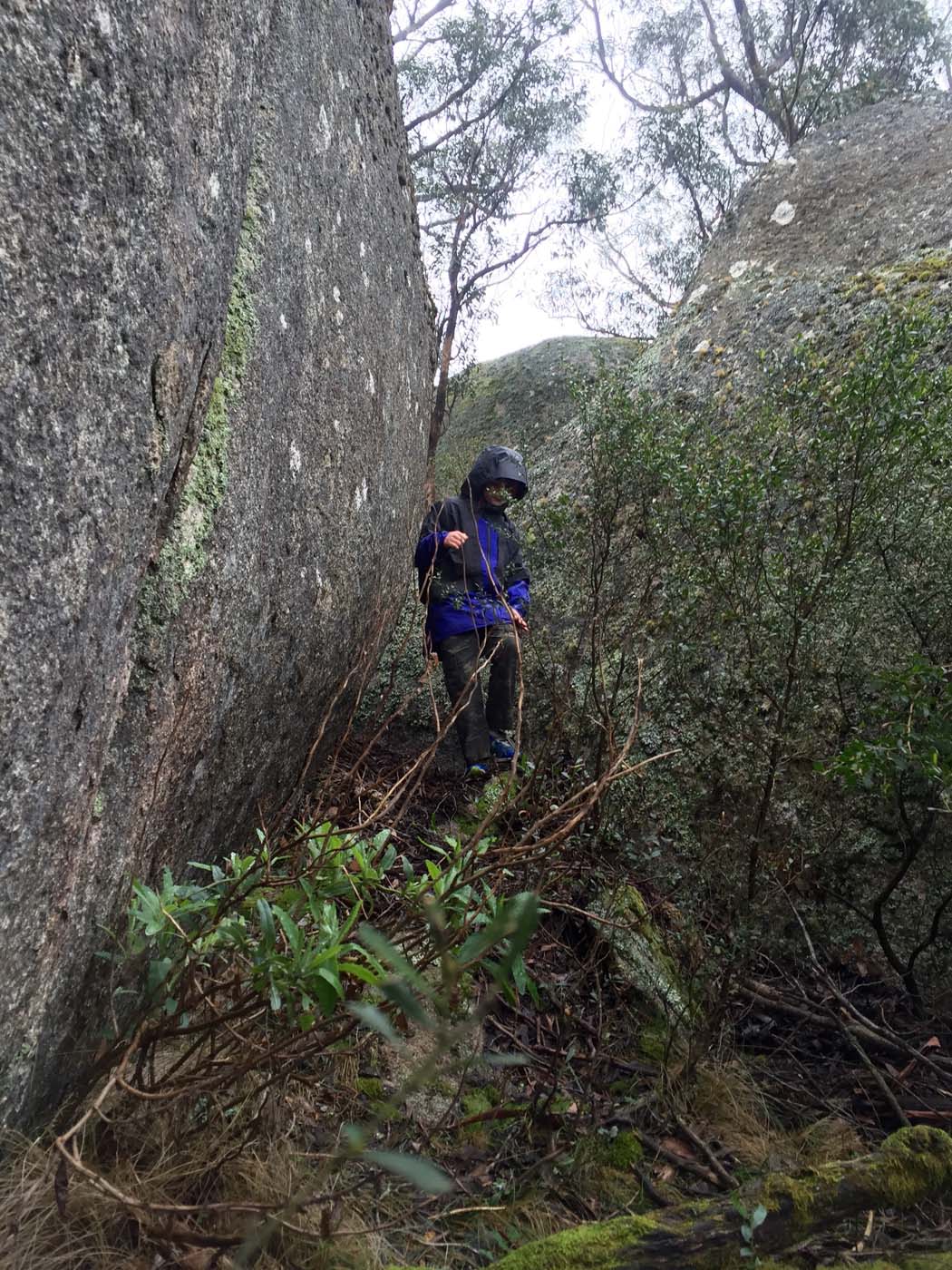 Mount gorrin hike (38)