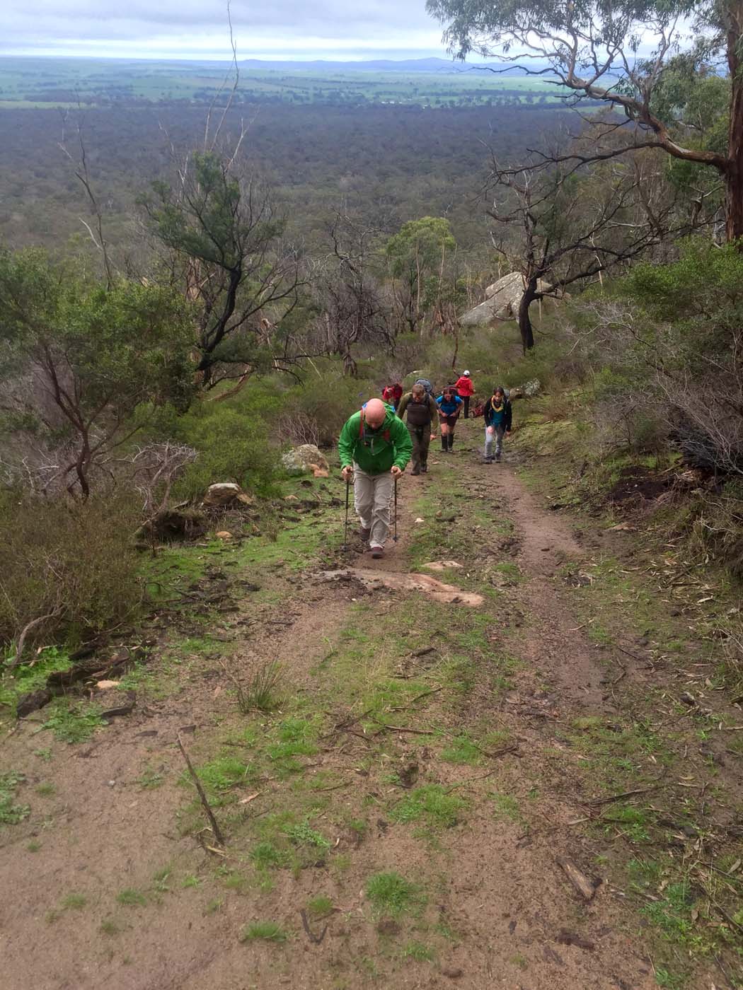 Mount gorrin hike (4)