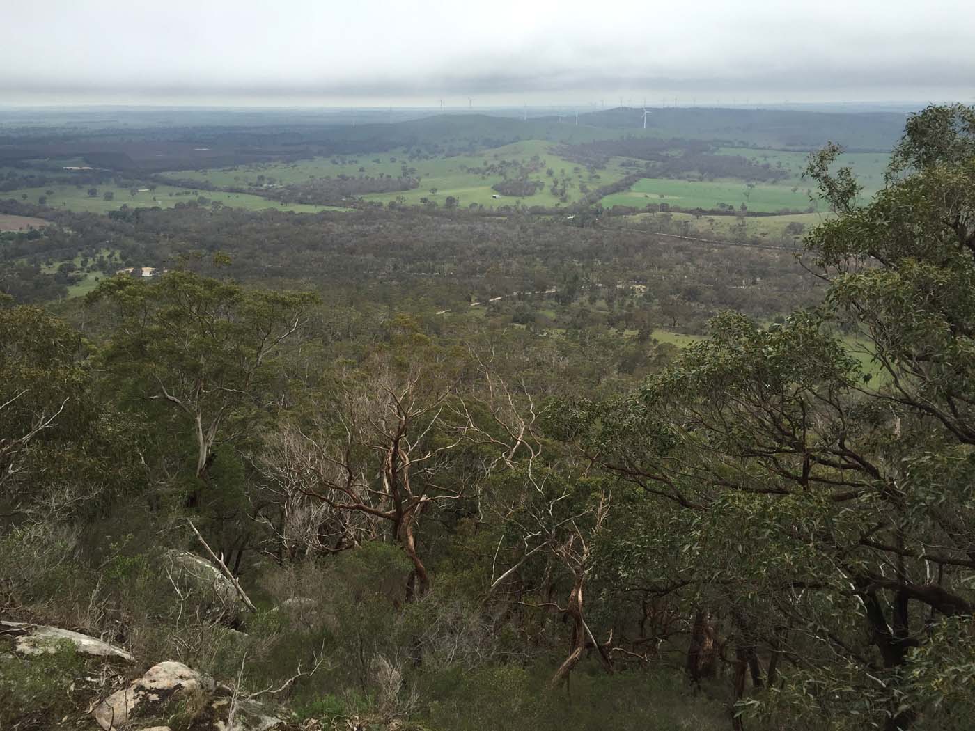 Mount gorrin hike (42)