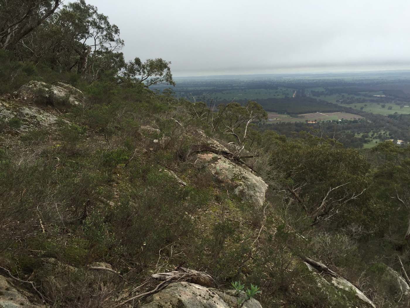 Mount gorrin hike (43)