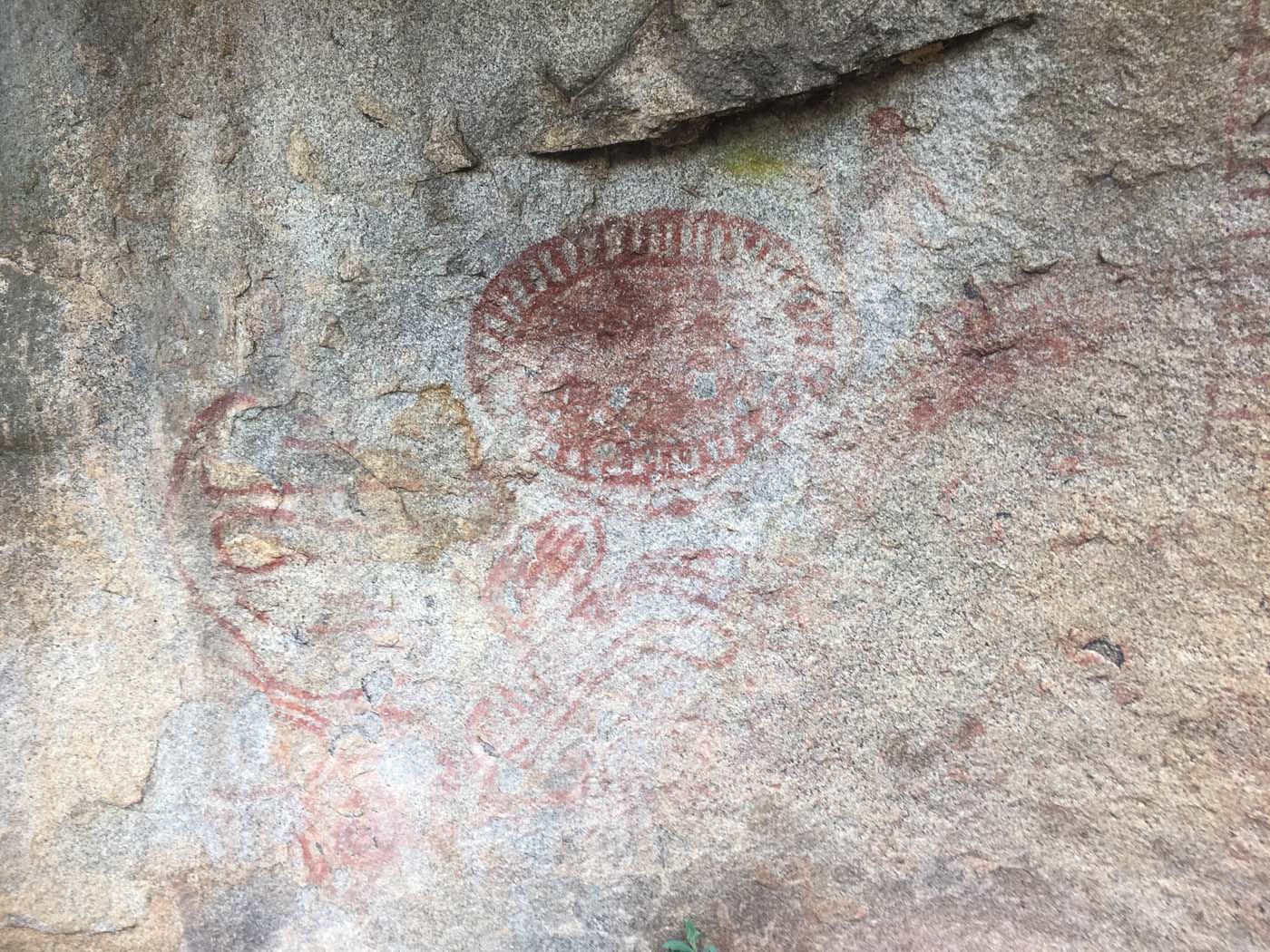 Mount gorrin hike (46)