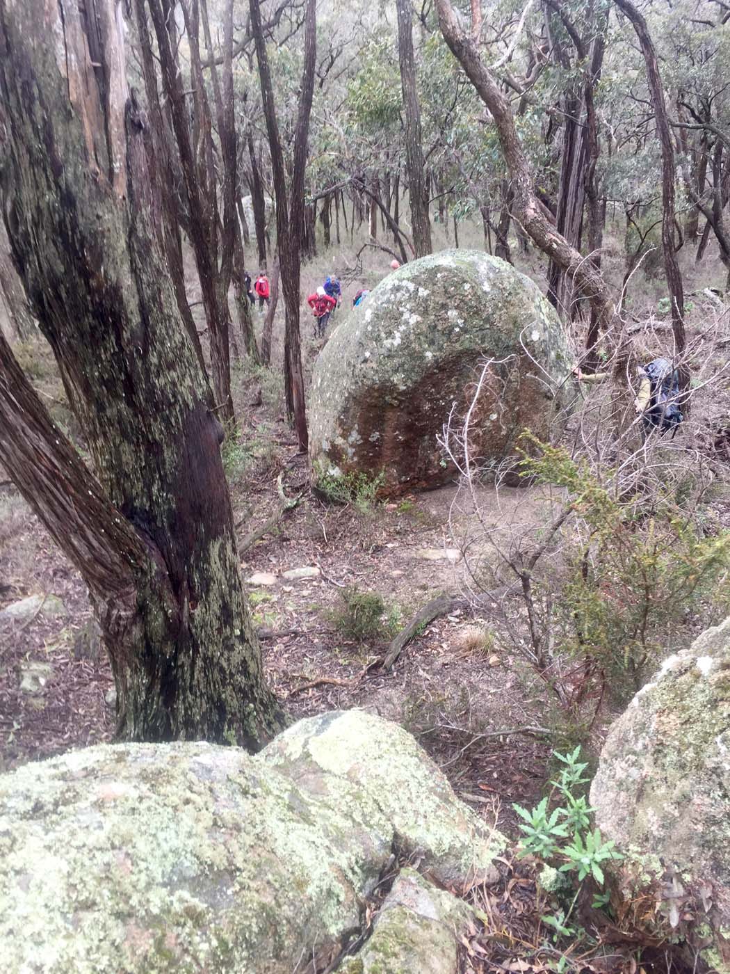 Mount gorrin hike (8)