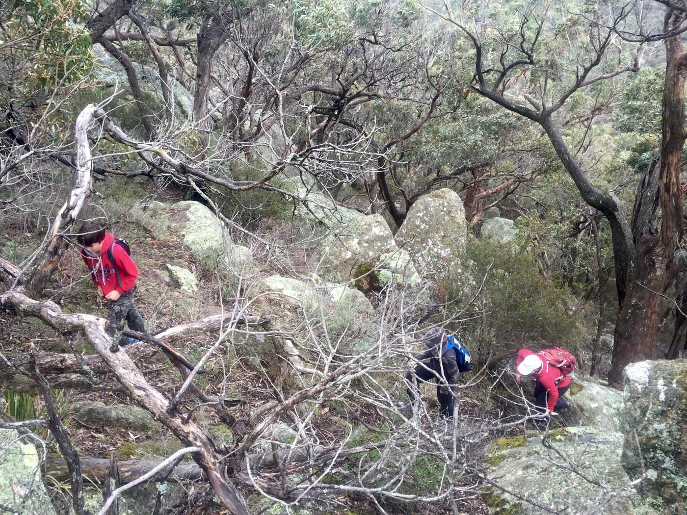 Mount gorrin hike (9)