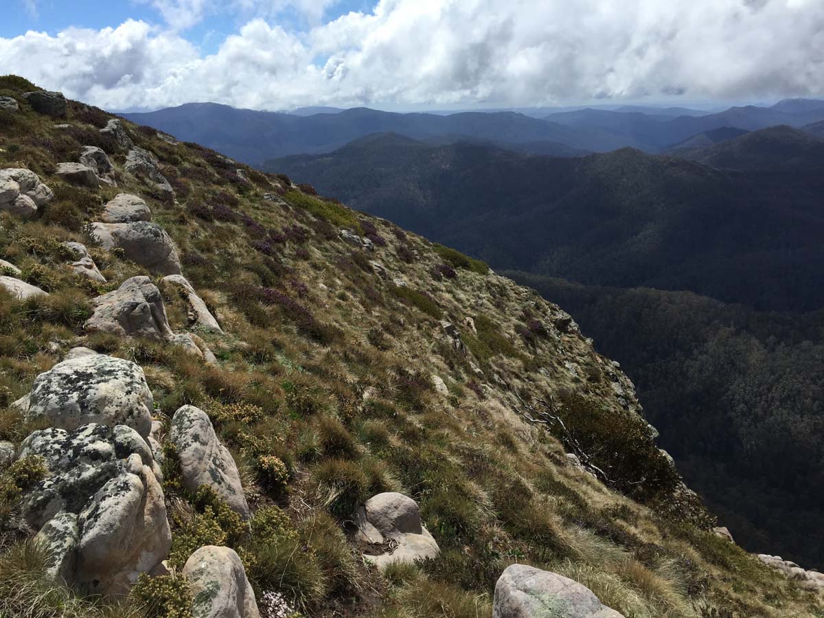 Mount howitt hike (3)