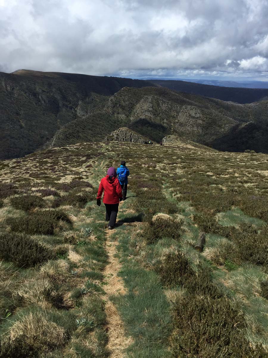 Mount howitt hike (4)