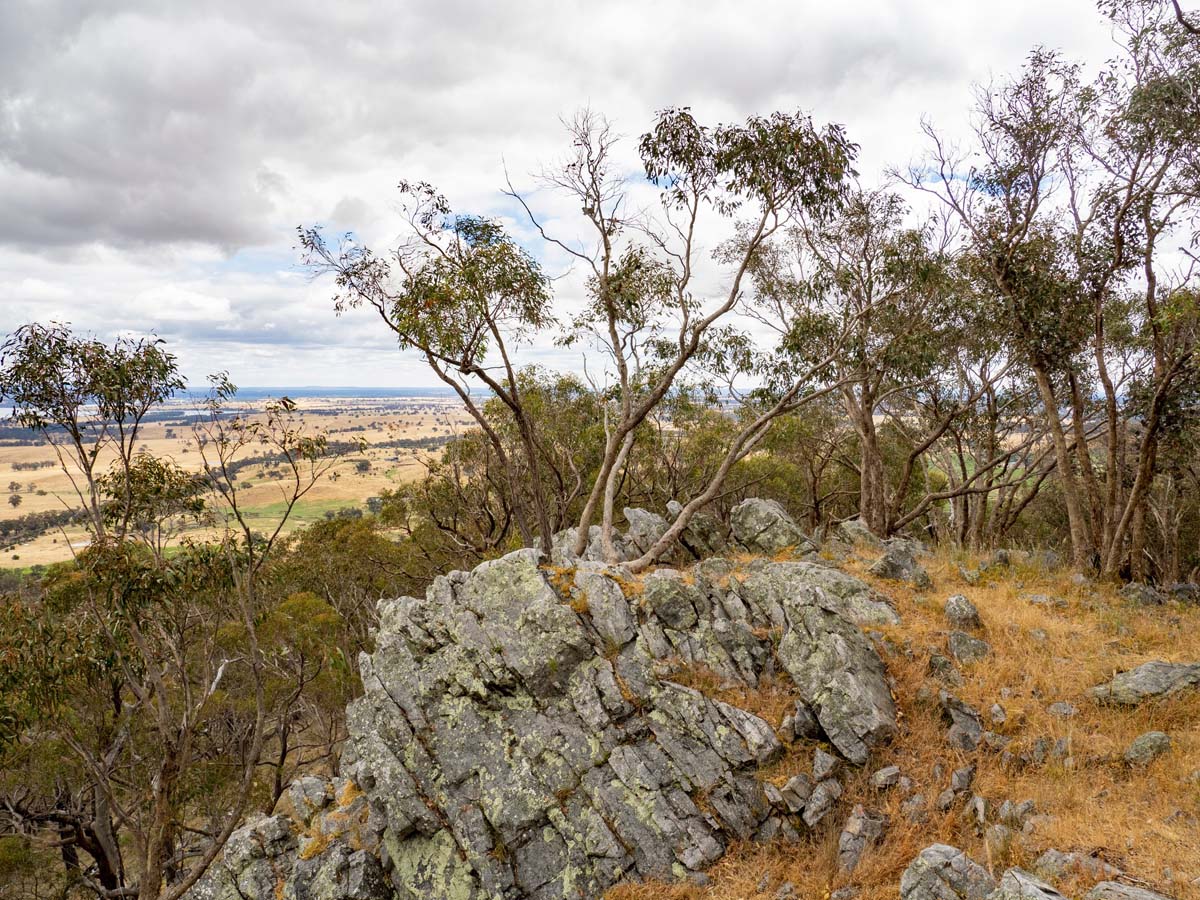 Mount ida & dargile forest hike 8