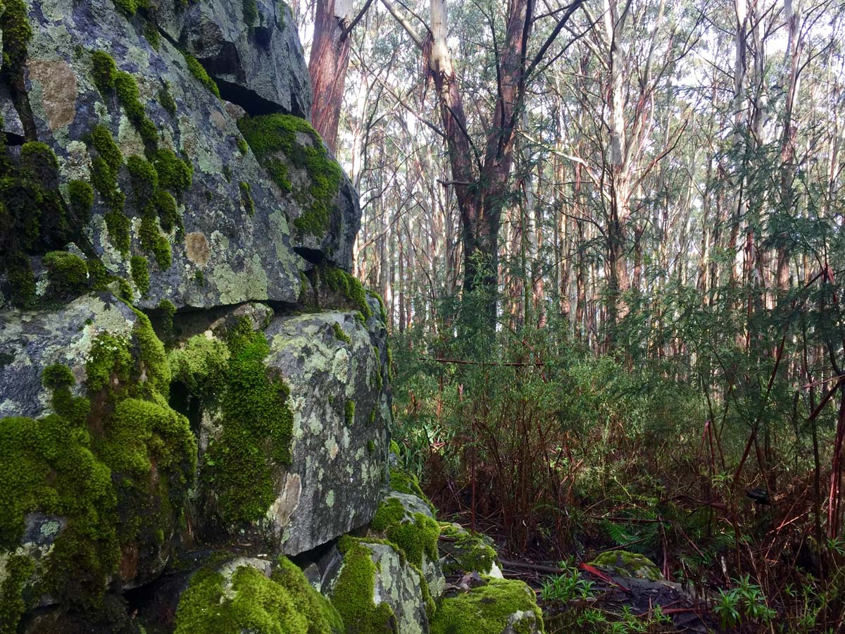 Mount juliet hike 19
