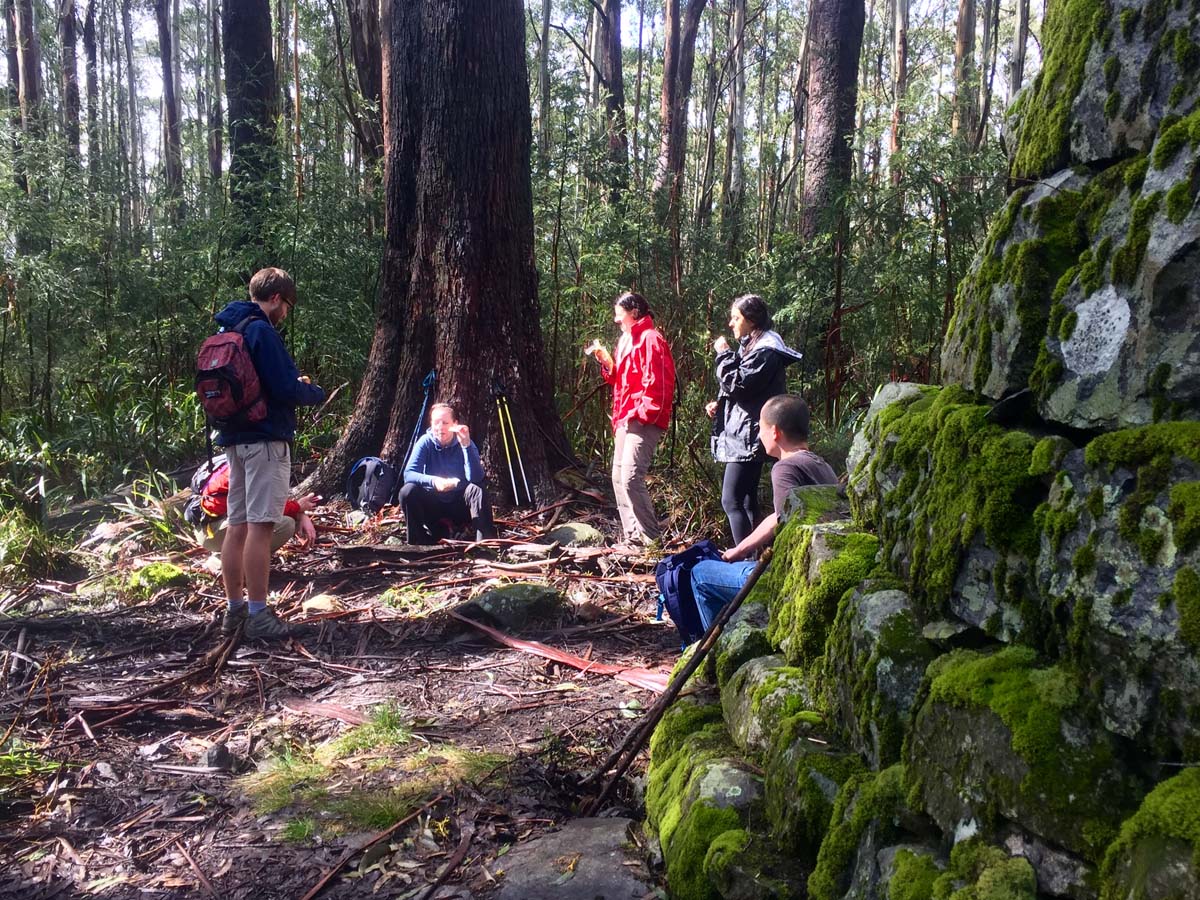 Mount juliet hike 20