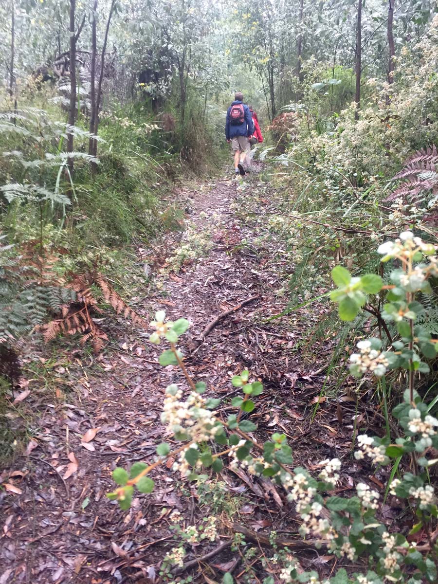 Mount juliet hike 4