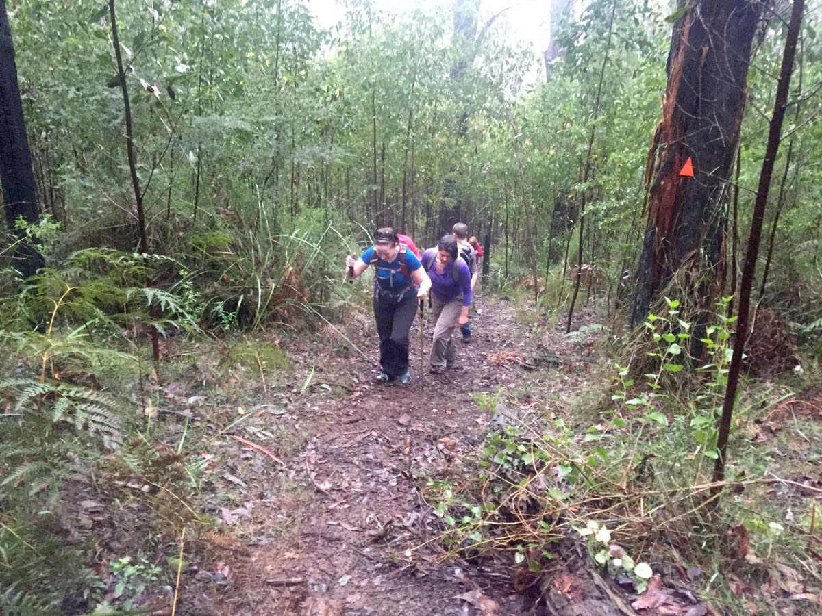 Mount juliet hike 8
