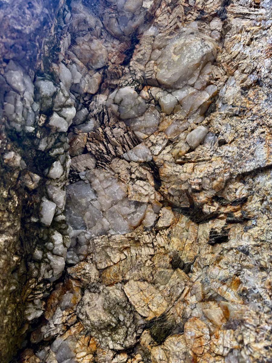 Mount killiecrankie walking track 21