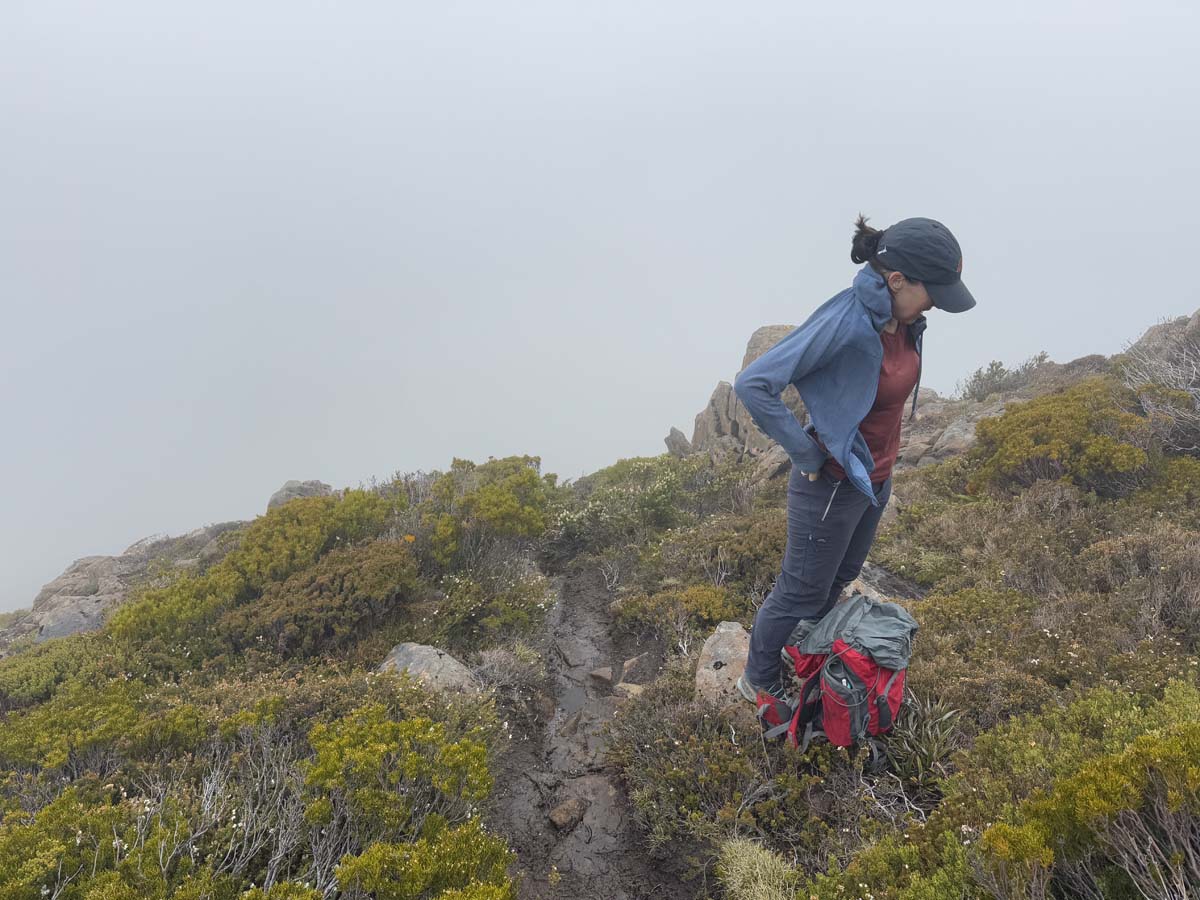 Mount king william 1 summit hike 27