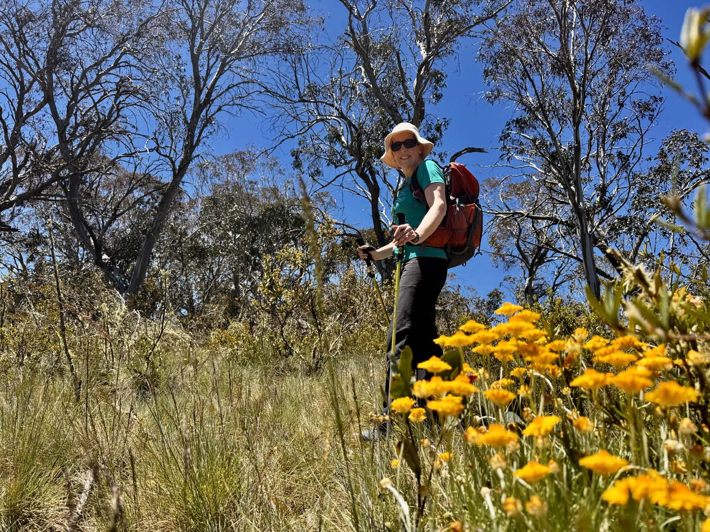 Mount koonika summit hike (11)