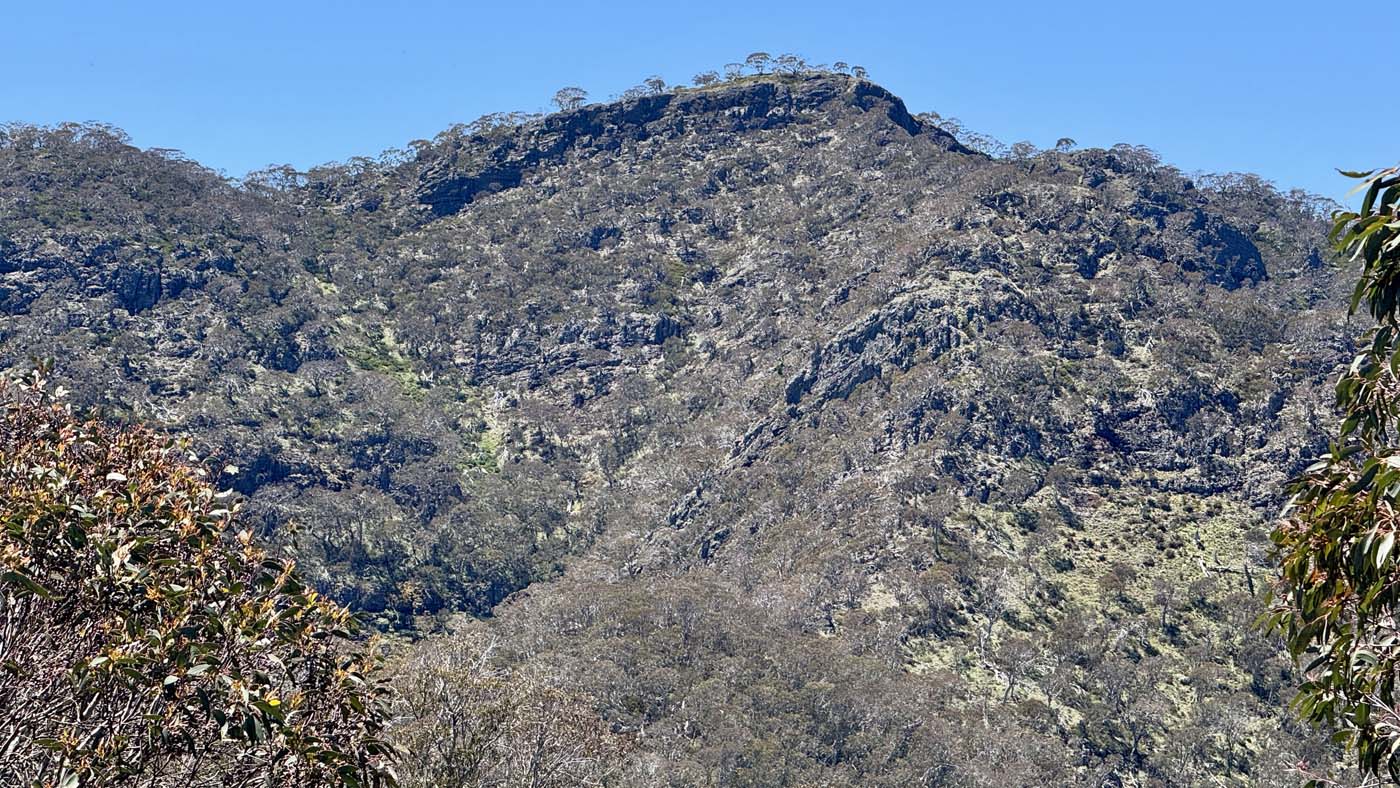 Mount koonika summit hike (13)