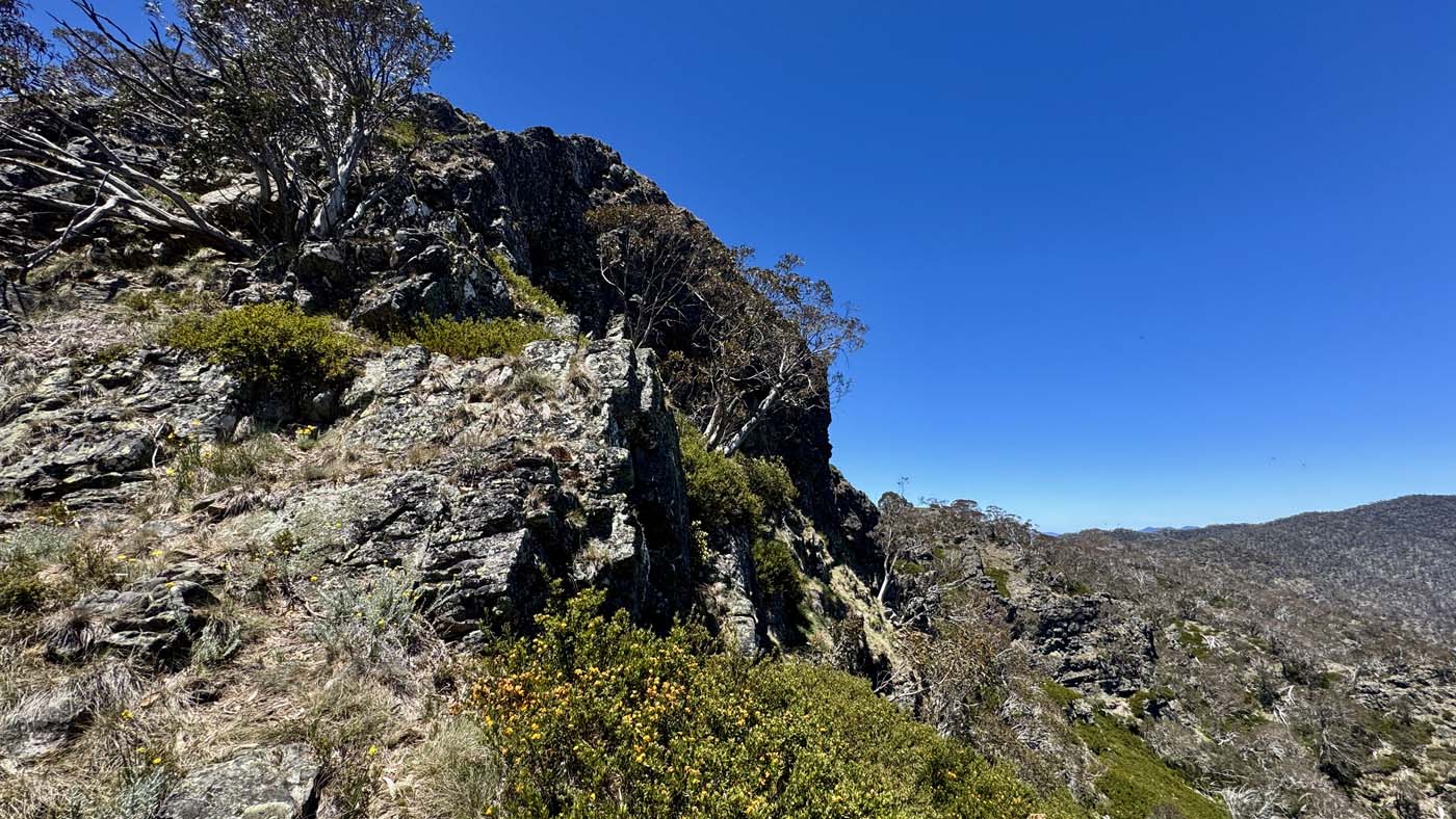 Mount koonika summit hike (18)