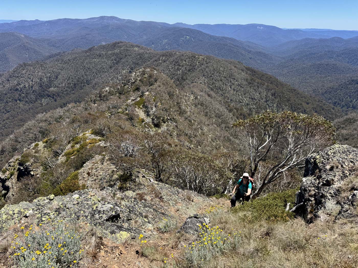Mount koonika summit hike (20)