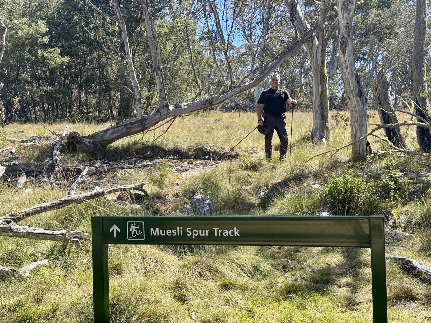 Mount koonika summit hike (25)