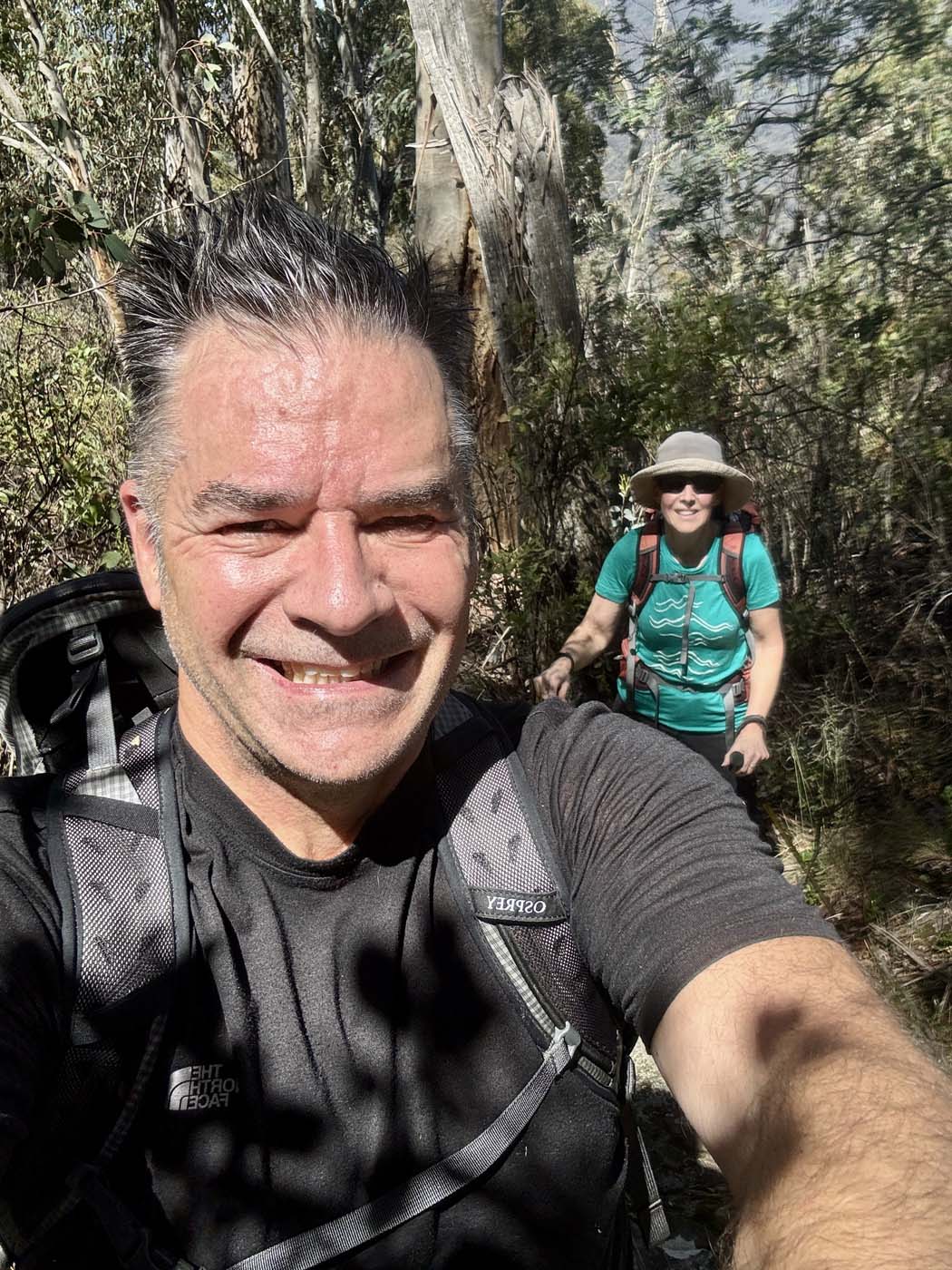 Mount koonika summit hike (7)