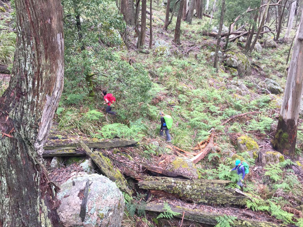 Mount langi ghiran hike 11