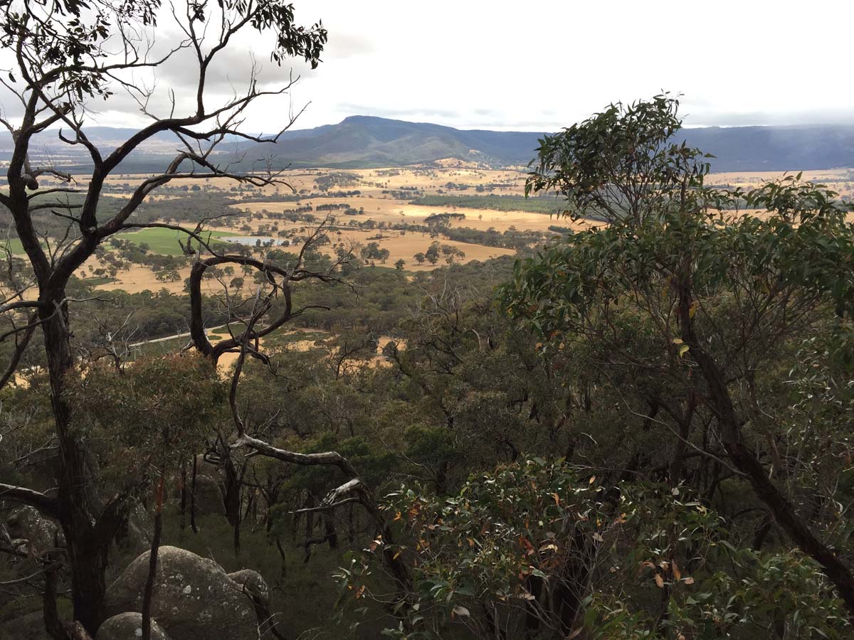 Mount langi ghiran hike 2