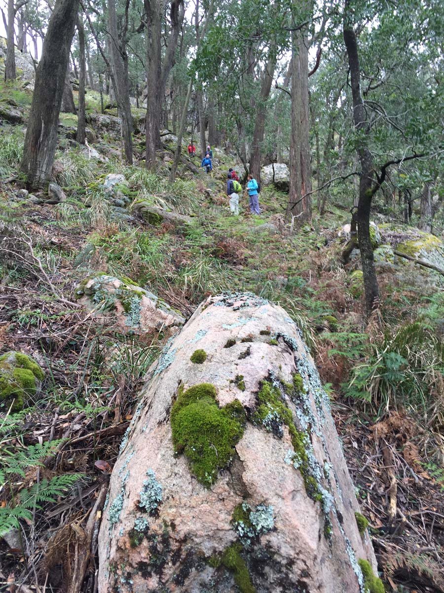 Mount langi ghiran hike 22