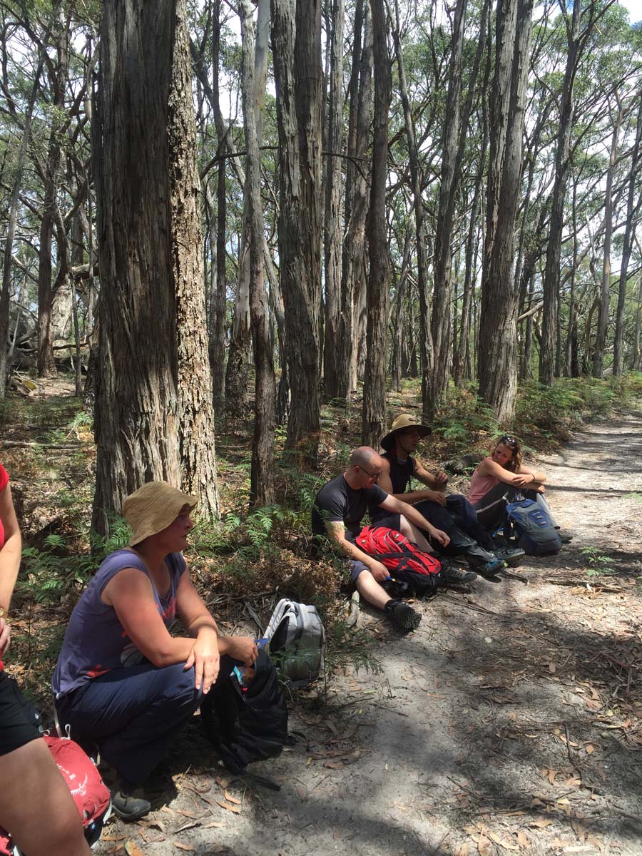 Mount langi ghiran hike 52