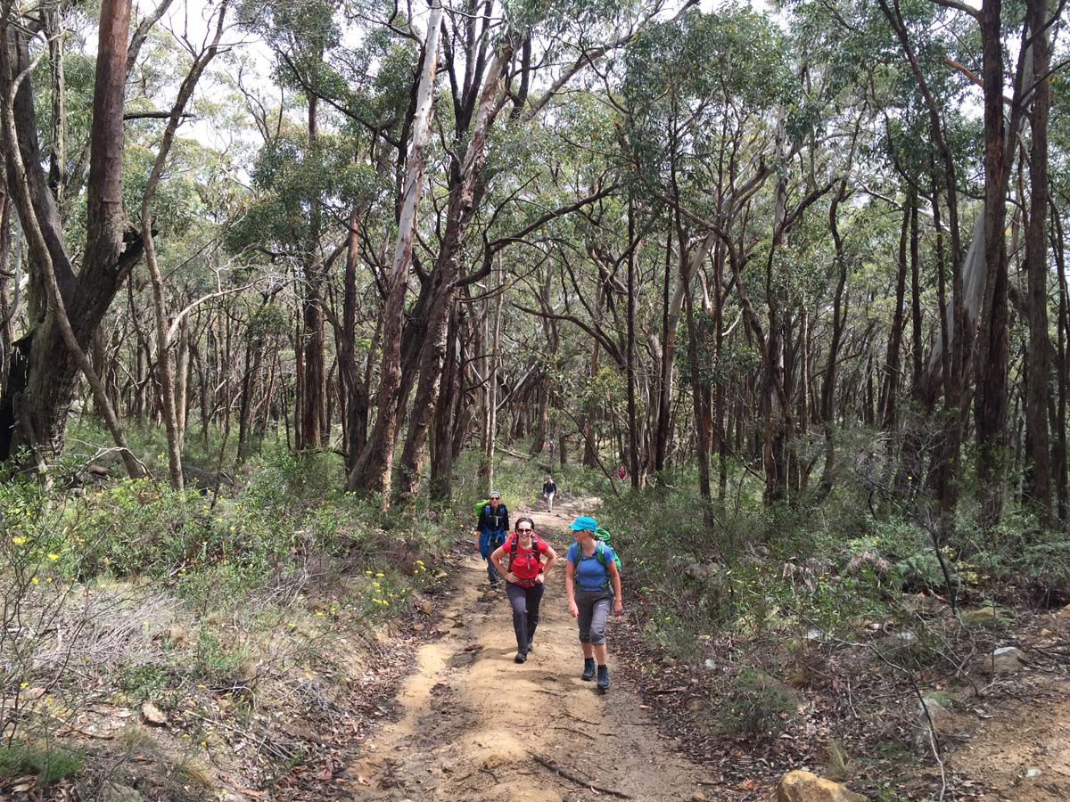 Mount langi ghiran hike 6