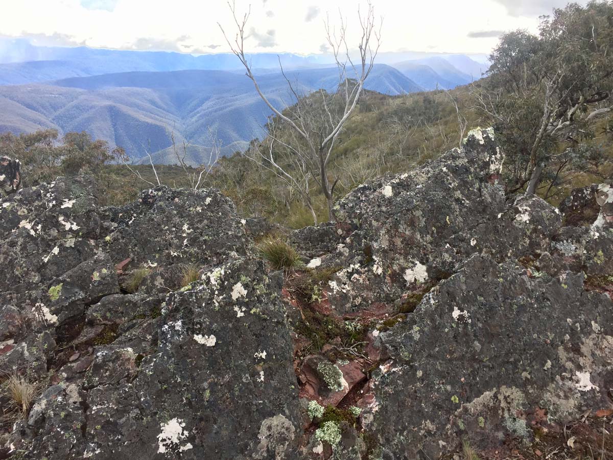 Mount ligar & tamboritha the crinoline hike 102