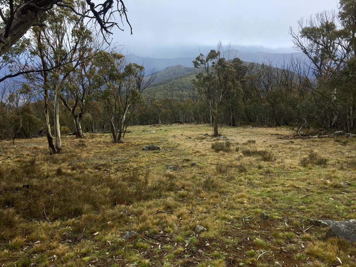 Mount ligar & tamboritha the crinoline hike 11