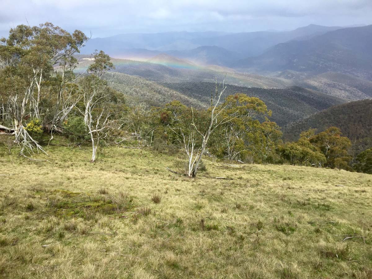 Mount ligar & tamboritha the crinoline hike 15