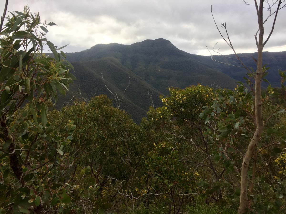 Mount ligar & tamboritha the crinoline hike 21