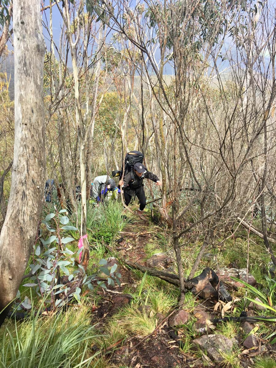 Mount ligar & tamboritha the crinoline hike 42