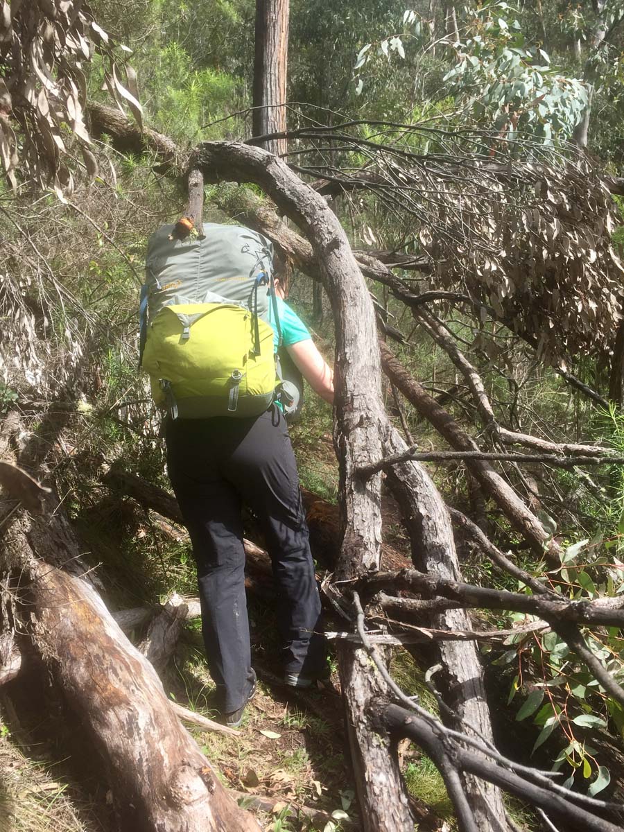 Mount ligar & tamboritha the crinoline hike 49
