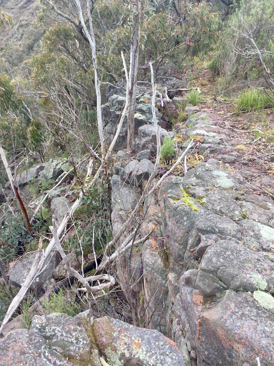 Mount ligar & tamboritha the crinoline hike 51
