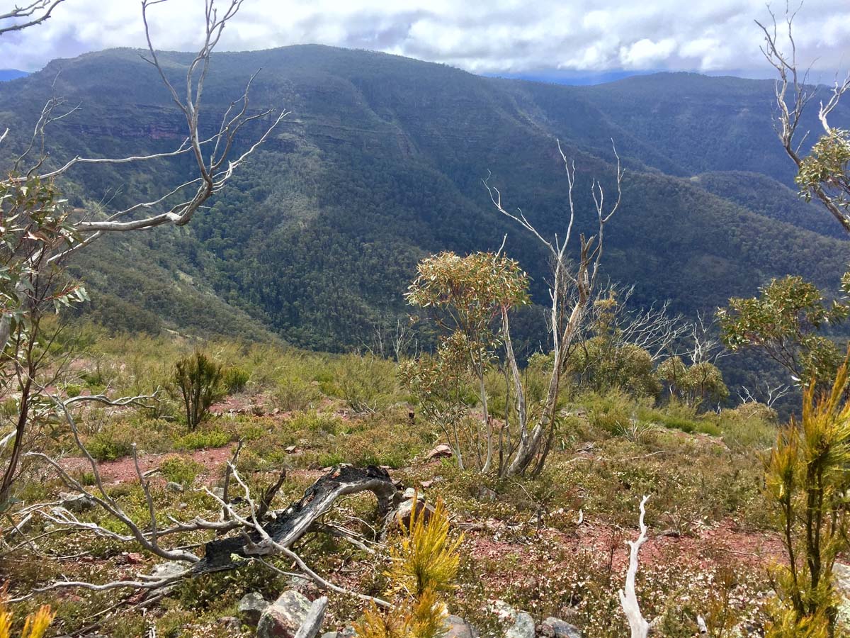 Mount ligar & tamboritha the crinoline hike 72