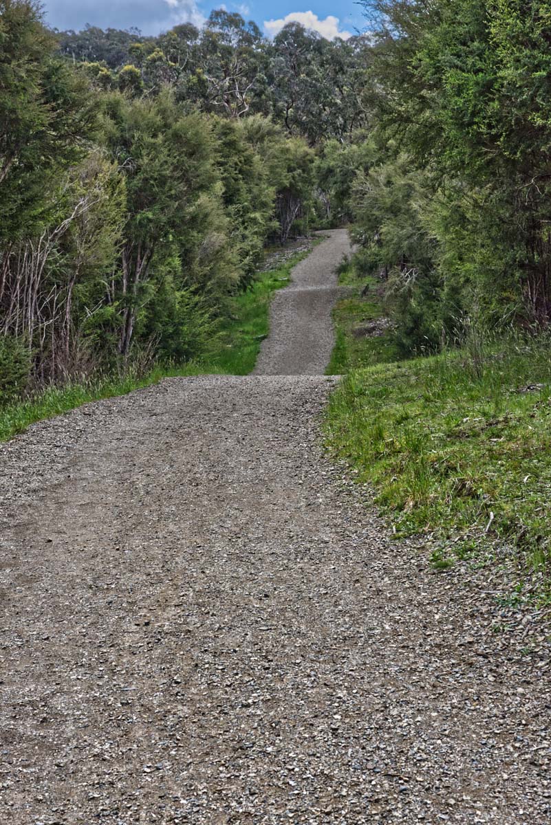 Mount lofty hike 10