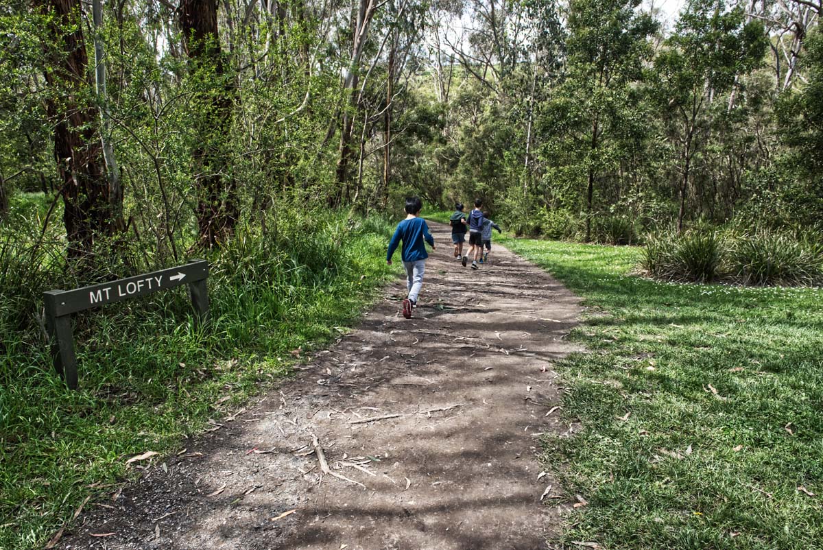 Mount lofty hike 11