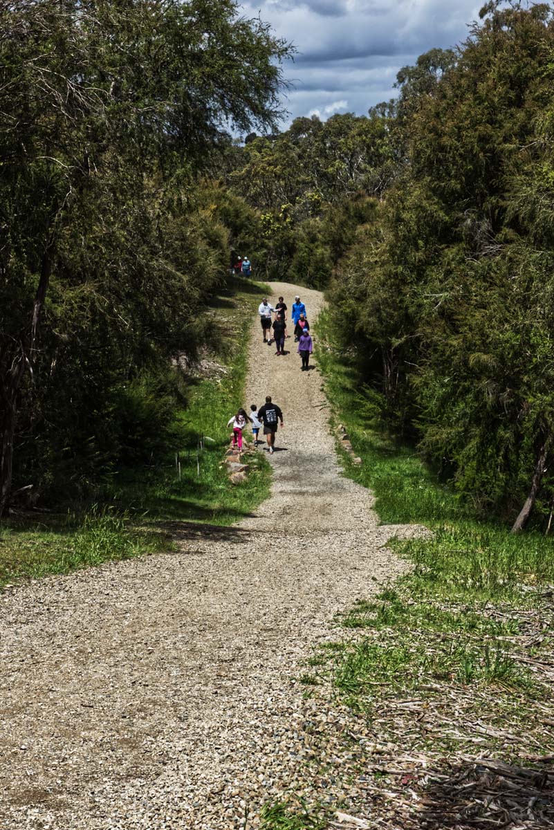 Mount lofty hike 13